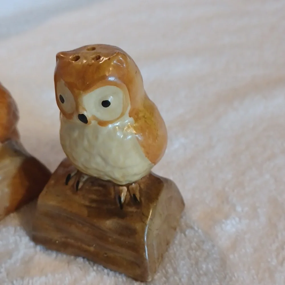 Owl salt and pepper shakers vintage kitchen decor
